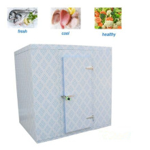 Холодная комната для овощей/фруктов/рыбы/холодная кладовая